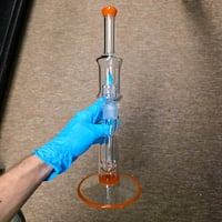 Image 2 of CORAL > OPALINE & MARINA HORNET