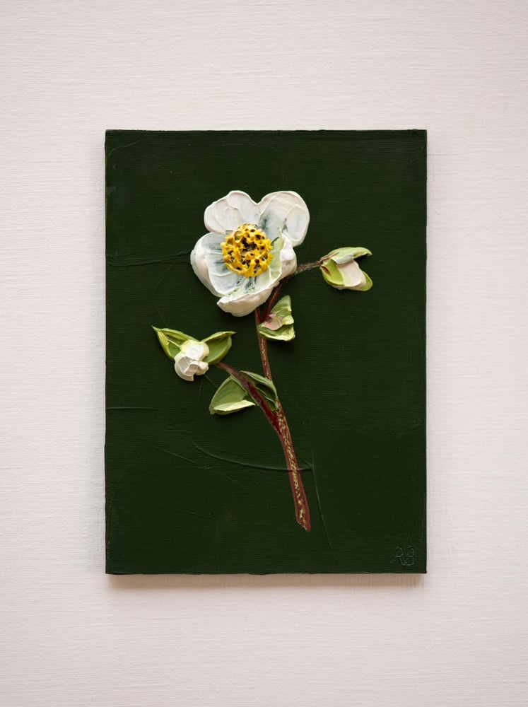 Image of Hellebore On Deep Green I