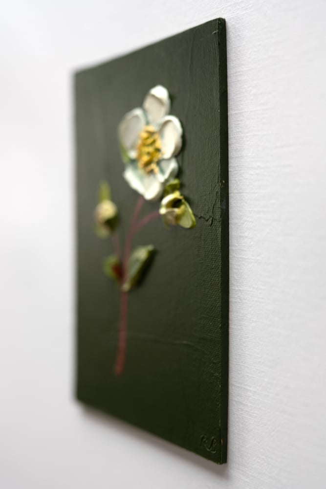 Image of Hellebore On Deep Green II