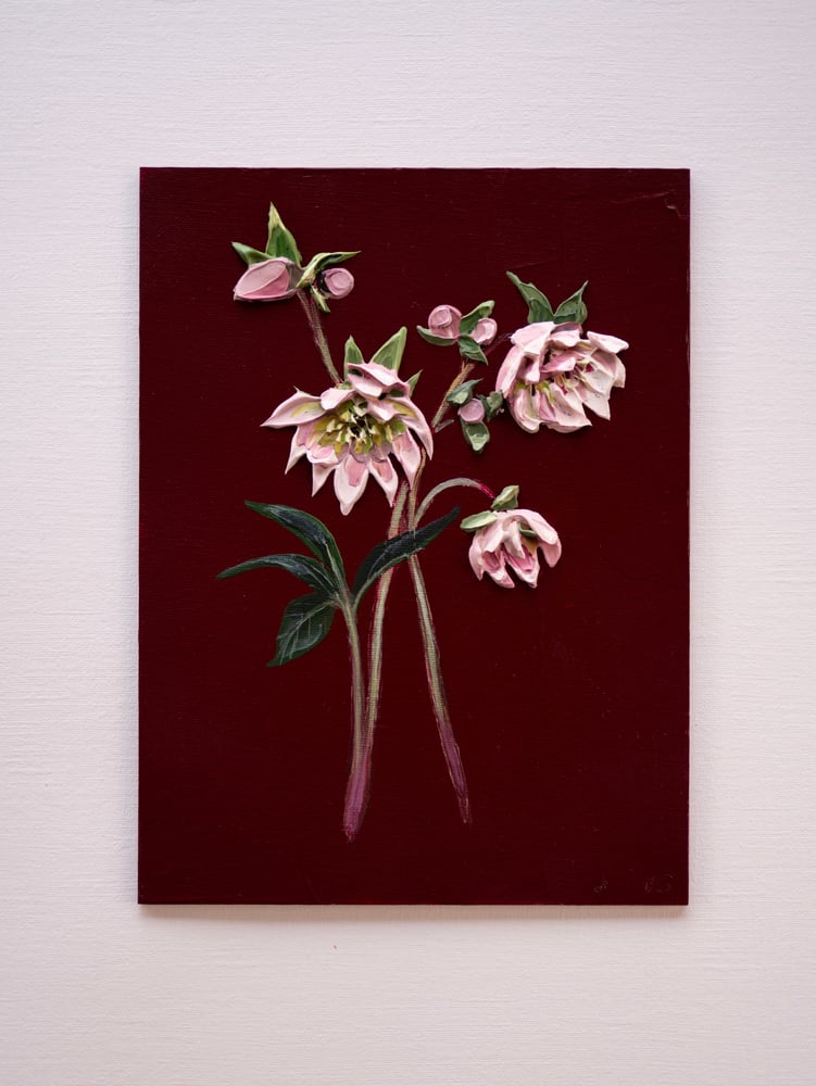 Image of Hellebore On Burgundy I