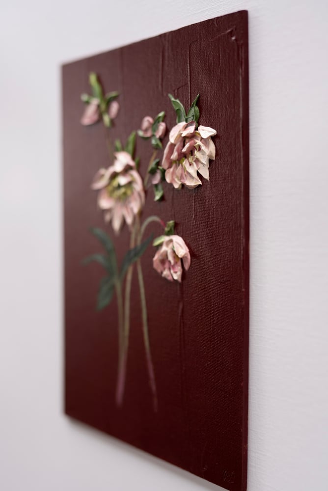 Image of Hellebore On Burgundy I