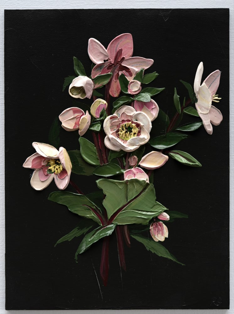 Image of Hellebore On Almost Black I
