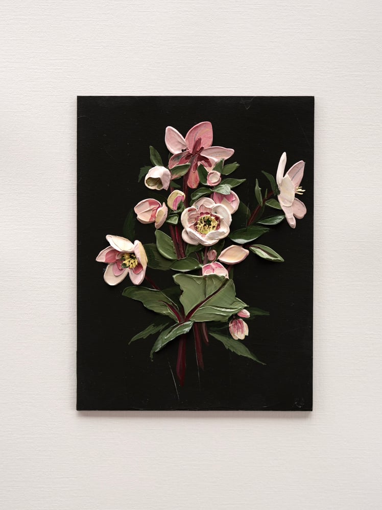 Image of Hellebore On Almost Black I