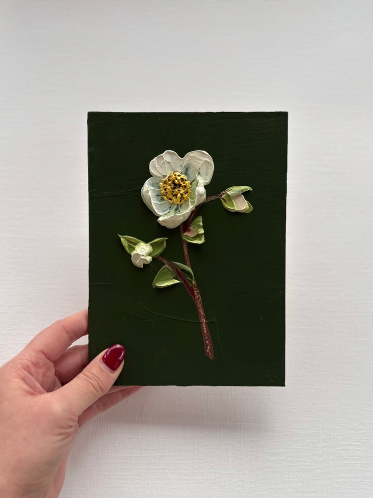 Image of Hellebore On Deep Green I
