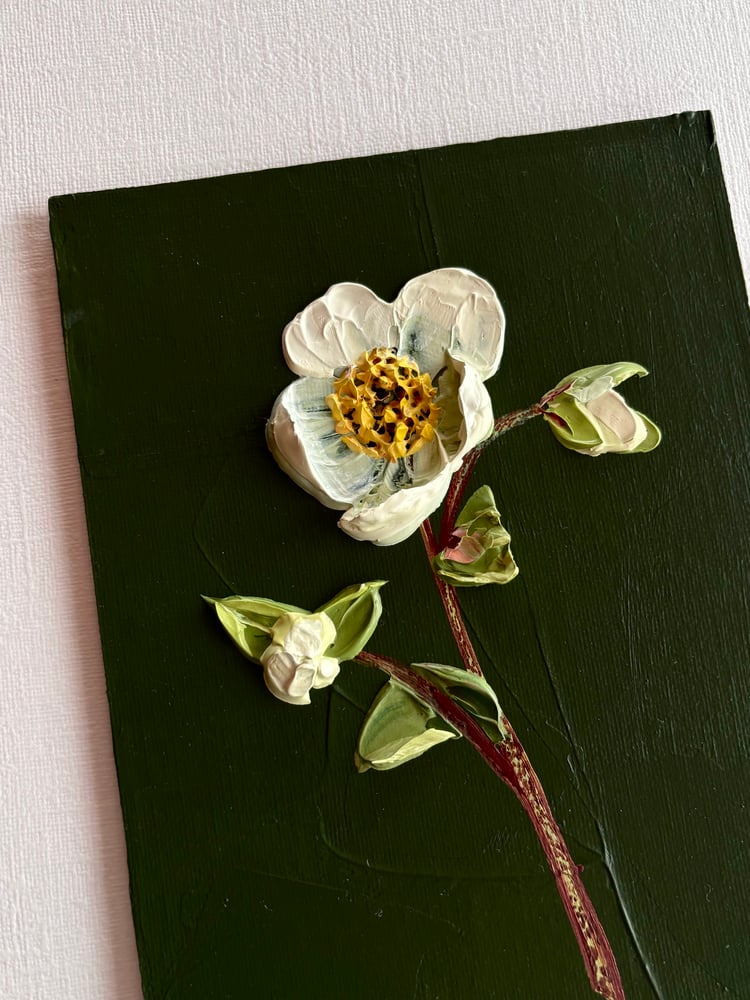 Image of Hellebore On Deep Green I