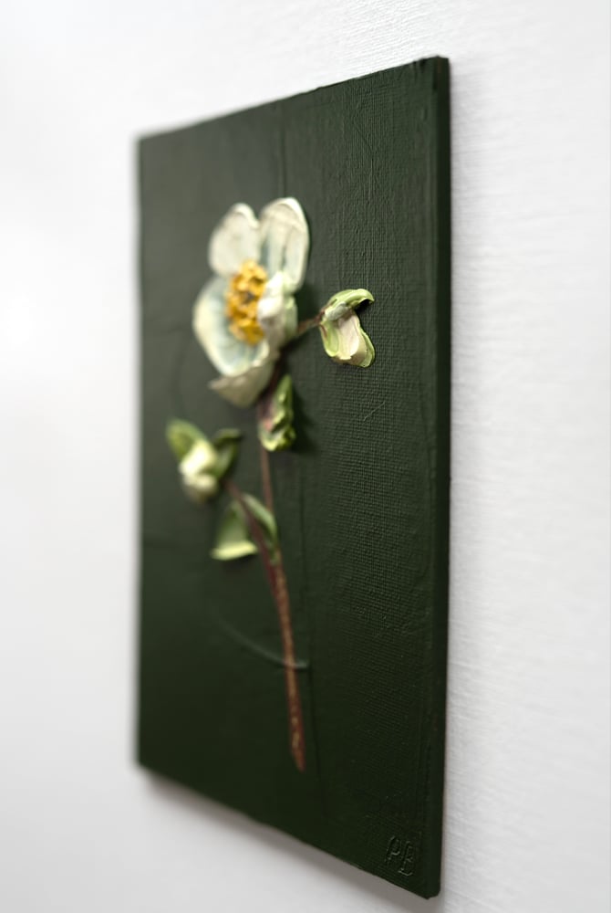 Image of Hellebore On Deep Green I