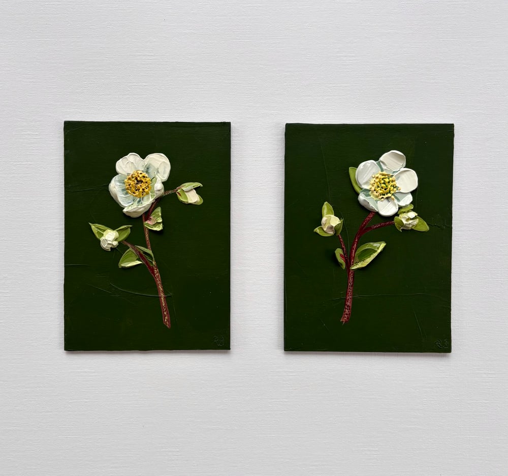 Image of Hellebore On Deep Green II