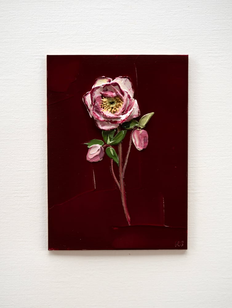 Image of Hellebore On Burgundy II