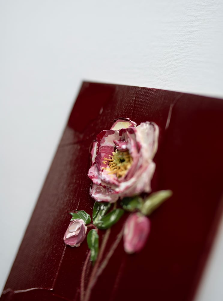 Image of Hellebore On Burgundy II