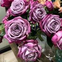 Image 1 of PURPLE PERFUME ROSE 