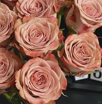 Image 1 of Pre-Order - CAPPUCCINO ROSE