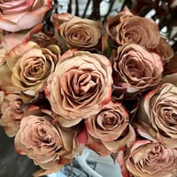 Image 7 of Pre-Order - CAPPUCCINO ROSE