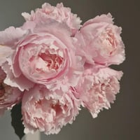 Image 9 of Pre-Order - SOPHIE ROCHAS ROSE