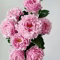 Image 10 of Pre-Order - SOPHIE ROCHAS ROSE