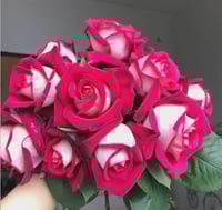 Image 10 of Pre-Order - MONICA BELLUCI ROSE