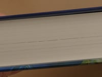 Image 4 of Beneath an Oil-Dark Sea - Slightly Distressed (second copy)