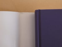 Image 4 of Houses Under the Sea - Slightly Distressed