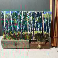 Image 1 of Summer at Arne, Dorset