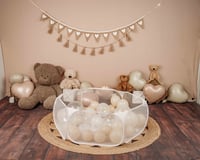 Image 3 of Love You Beary Much —A Fun Valentine Minis at Pause Button Photography