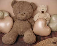 Image 8 of Love You Beary Much —A Fun Valentine Minis at Pause Button Photography