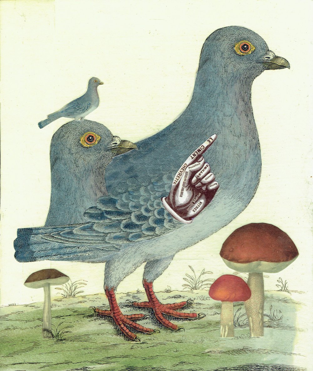 Image of I WILL SEE YOU TOMORROW