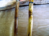 Image 4 of 2 x Norfolk reed floats (A)