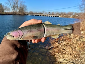 Image of 11” Cali Girl “Wide Glide” (Castaic Trout)
