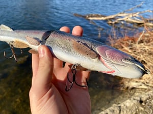 Image of 11” Cali Girl “Wide Glide” (Castaic Trout)