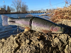 Image of 11” Cali Girl “Wide Glide” (Flash Purple Stocker)