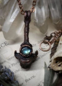 Image 5 of Cat Vertebra Bone Pendant