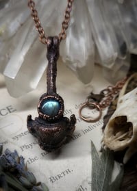 Image 3 of Cat Vertebra Bone Pendant