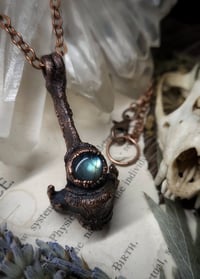 Image 2 of Cat Vertebra Bone Pendant