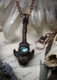 Image 1 of Cat Vertebra Bone Pendant