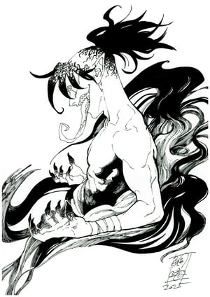 Image of Pre-Order: Taigami // 2026 ** Limited slots **