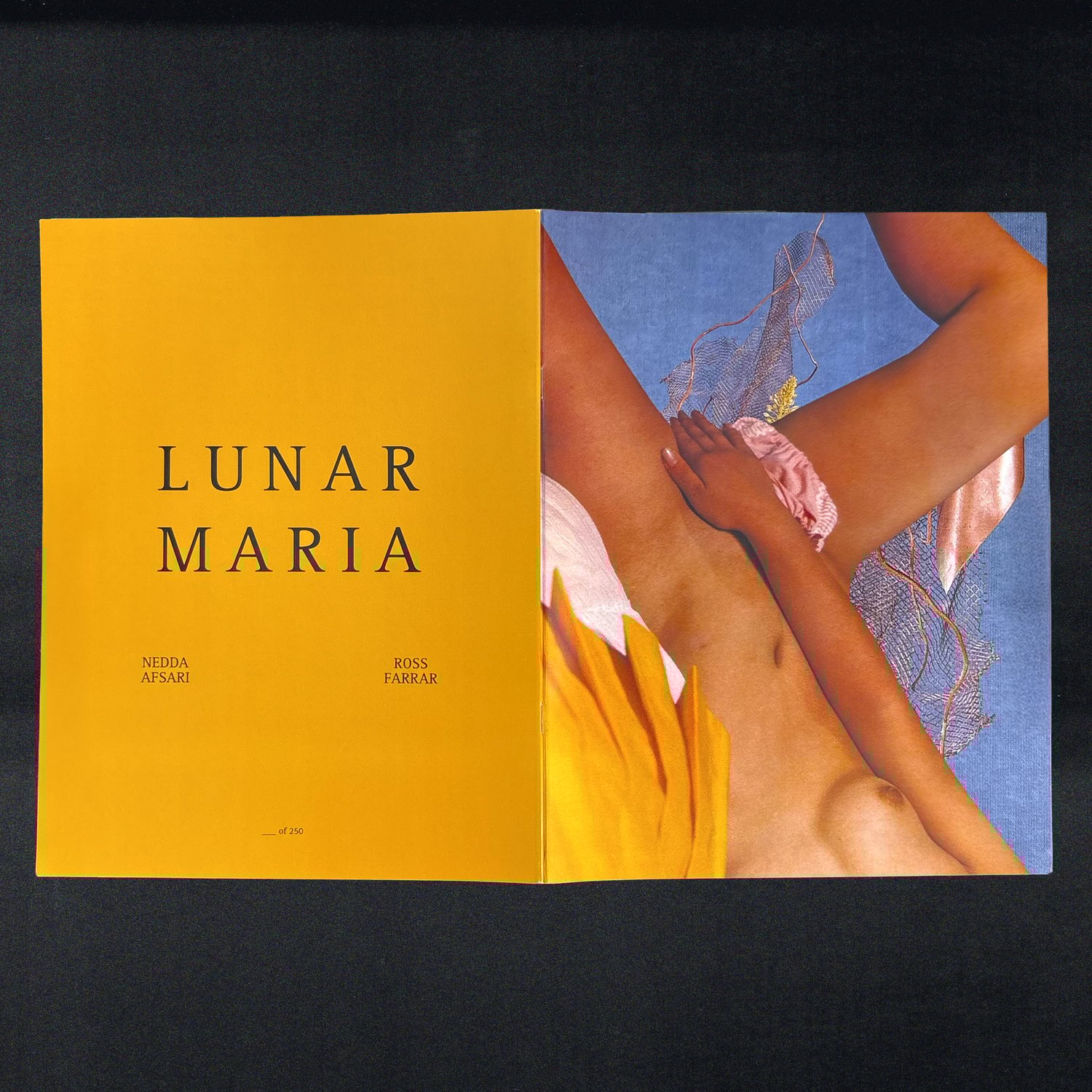 Image of Lunar Maria