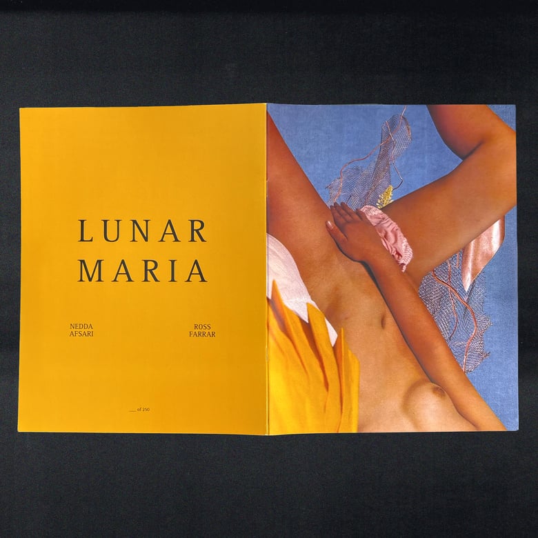 Image of Lunar Maria