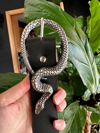 Image 3 of Snake Belt