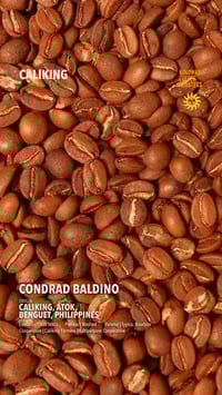 Image 2 of CALIKING — SINGLE ORIGIN COFFEE from Caliking, Benguet (200g)