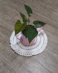 Image 2 of NAPPERON BLANC