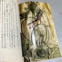 Image 9 of Jun Togawa's Utopia