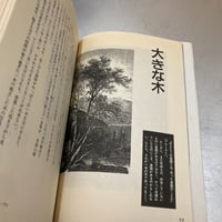 Image 16 of Jun Togawa's Utopia