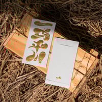 Image 2 of YEAR OF THE HORSE ANG BAO!