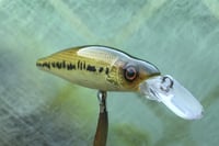 Image 6 of Custom Airbrushed Jerkbait 4107