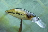 Image 5 of Custom Airbrushed Jerkbait 4107