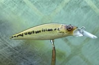 Image 7 of Custom Airbrushed Jerkbait 4107