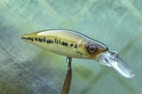 Image 8 of Custom Airbrushed Jerkbait 4107