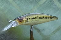 Image 9 of Custom Airbrushed Jerkbait 4107