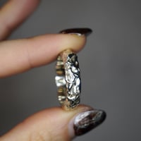 Image 1 of Texture Band #4