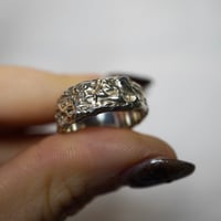 Image 1 of Texture Band #5