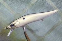 Image 3 of Custom Airbrushed Jerkbait TA 110 4233